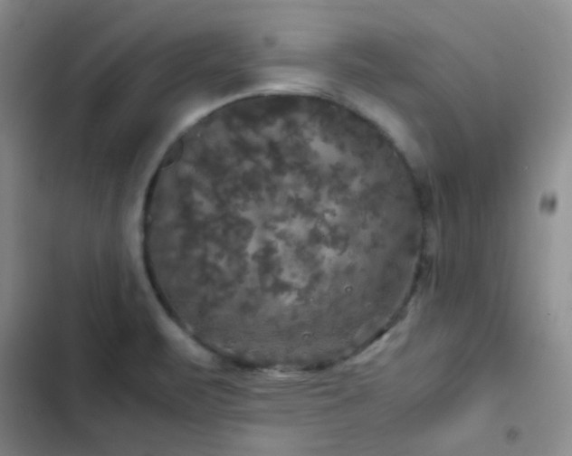 X0000103221471200808281356