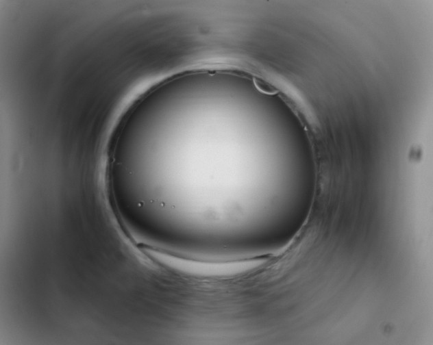 X0000103221472200808281356