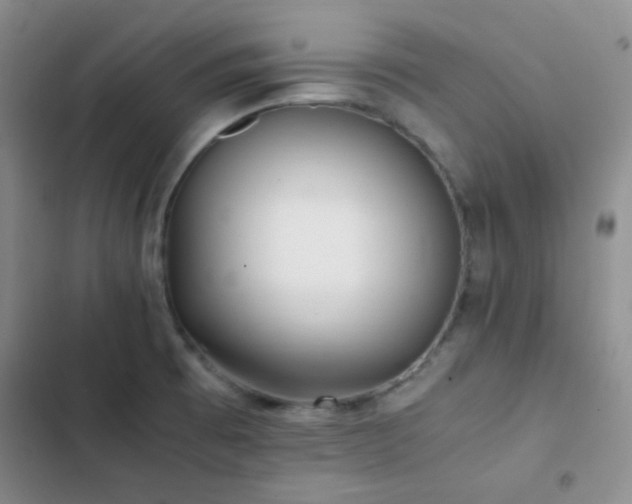 X0000103221473200808281356