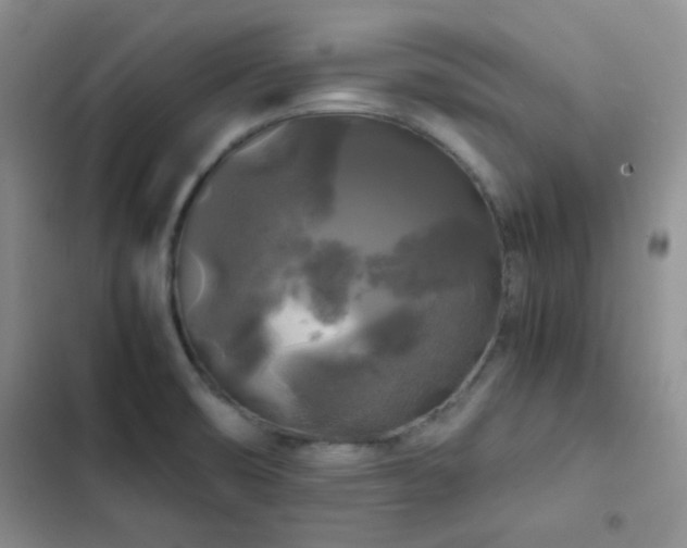 X0000103221474200808281356