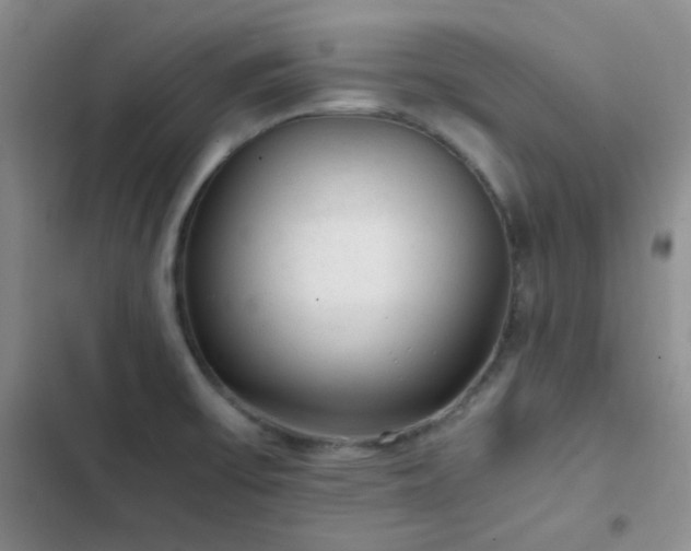 X0000103221475200808281356