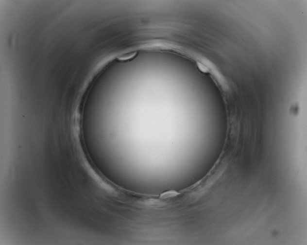 X0000103221476200808281356