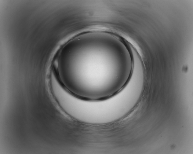 X0000103221477200808281356