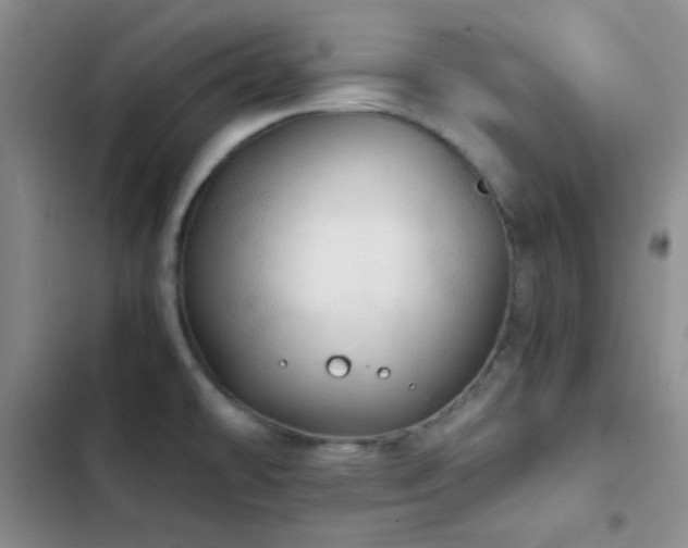 X0000103221478200808281356