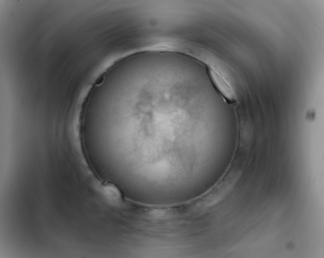 X0000103221480200808281355