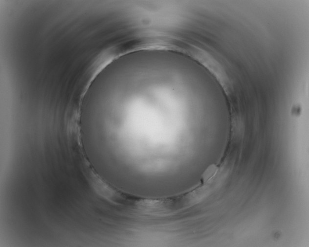 X0000103221481200808281355