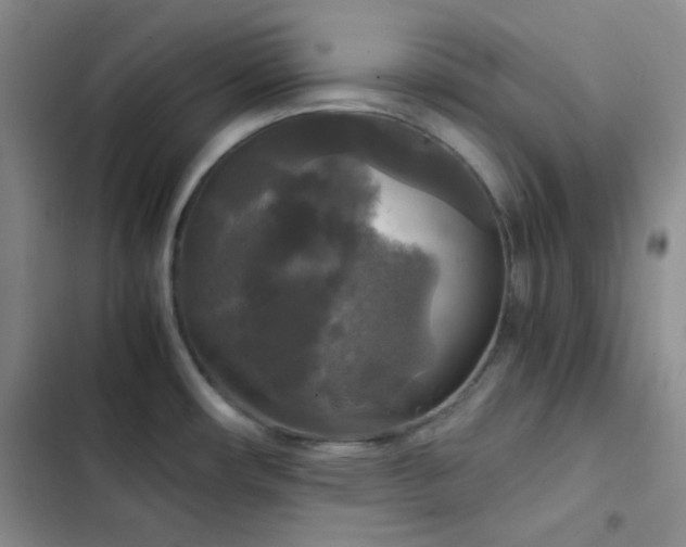 X0000103221482200808281355