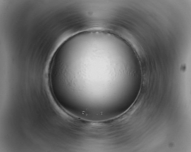 X0000103221483200808281355