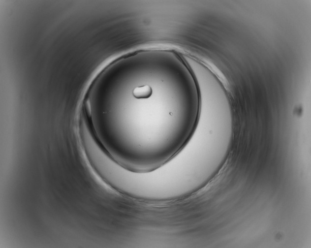 X0000103221484200808281355