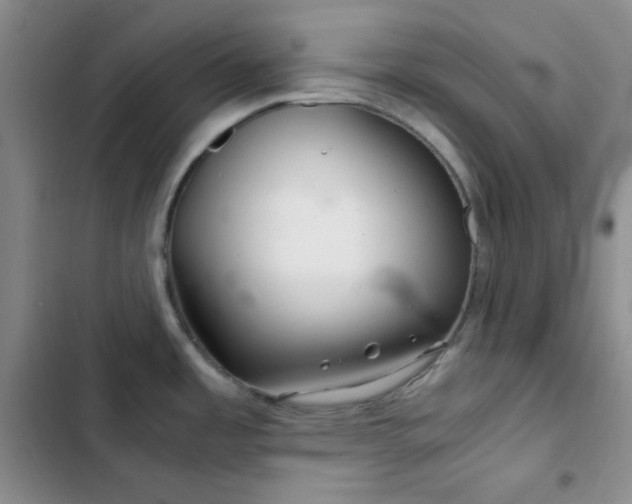 X0000103221485200808281355