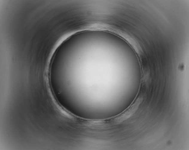 X0000103221486200808281355
