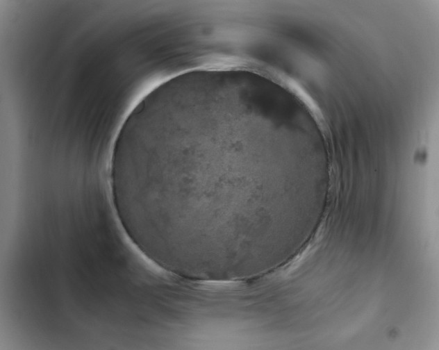 X0000103221487200808281355