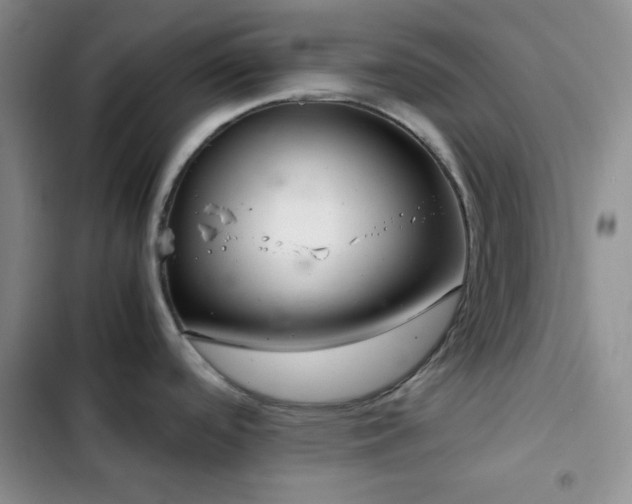 X0000103221488200808281355