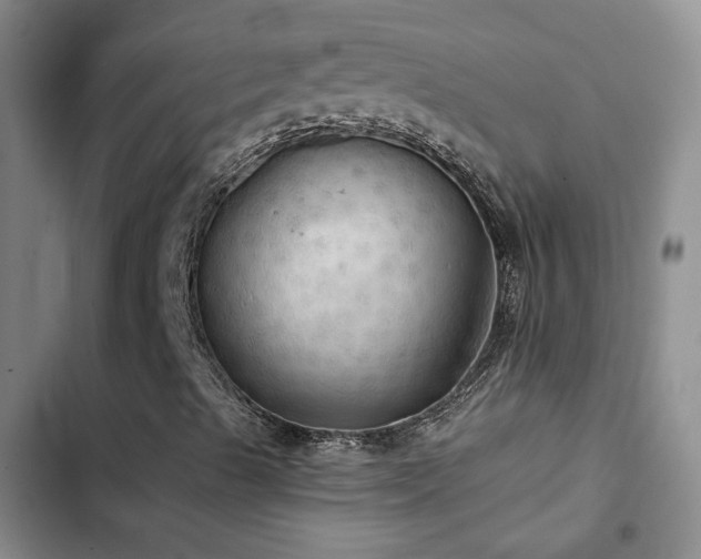 X0000103221489200808281355