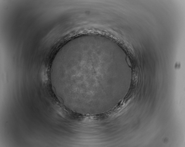 X0000103221490200808281355
