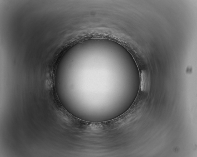 X0000103221491200808281355
