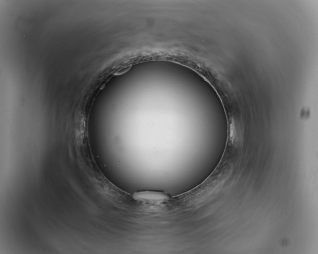 X0000103221492200808281355