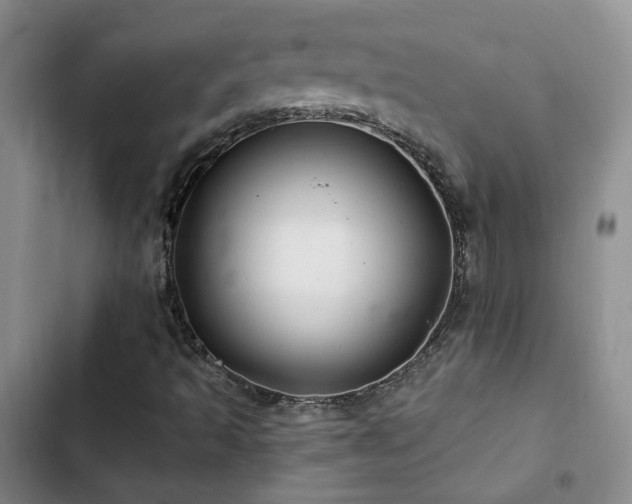 X0000103221493200808281355