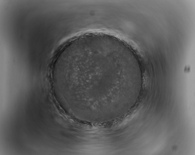 X0000103221494200808281355