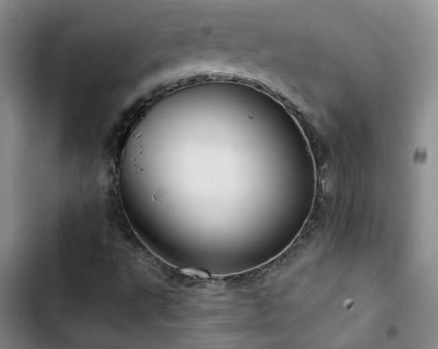 X0000103221495200808281355
