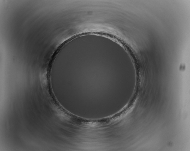 X0000103221497200808281355