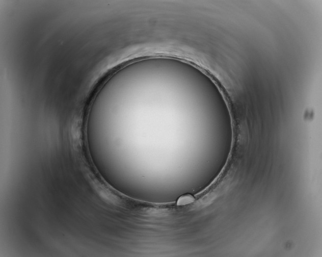 X0000103221499200808281355