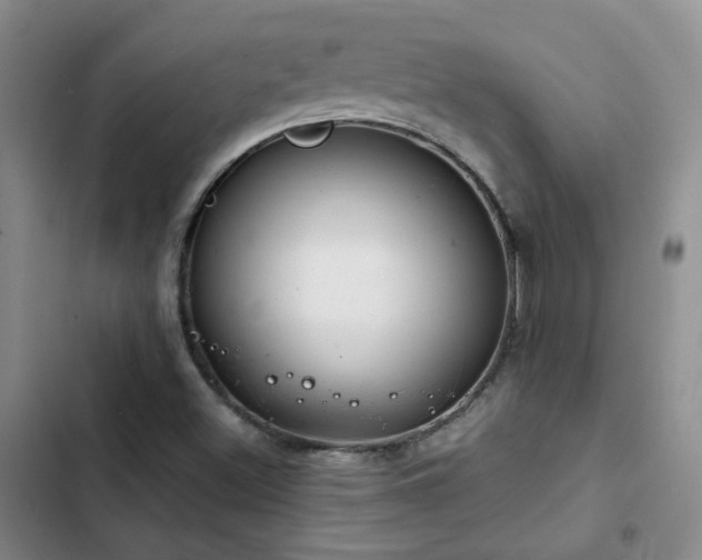 X0000103221500200808281355