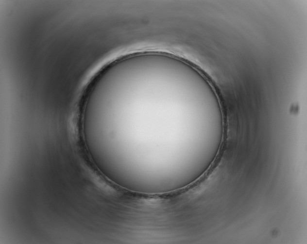 X0000103221502200808281355