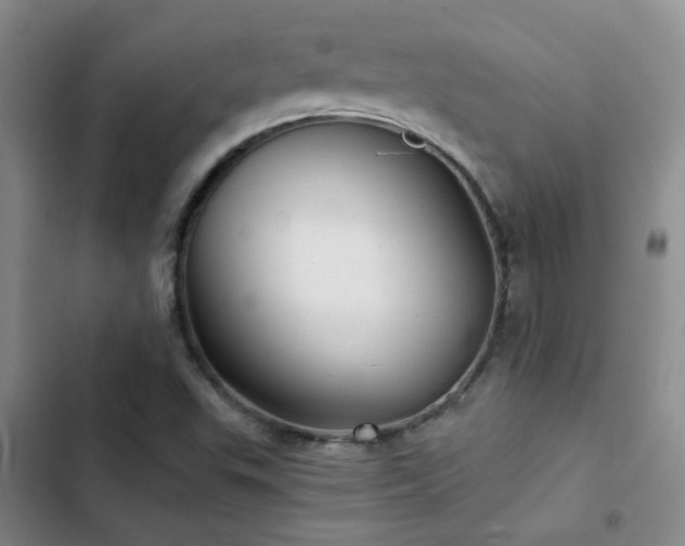 X0000103221503200808281355