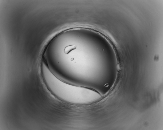 X0000103221504200808281355