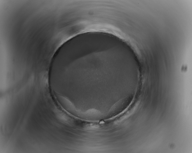 X0000103221505200808281355