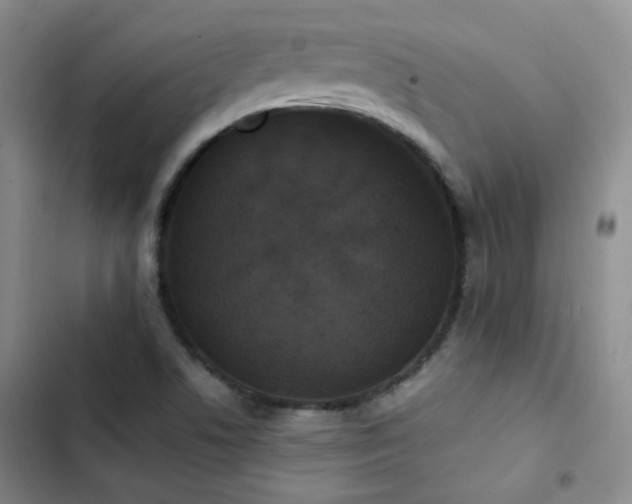 X0000103221506200808281355