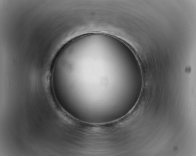 X0000103221507200808281355