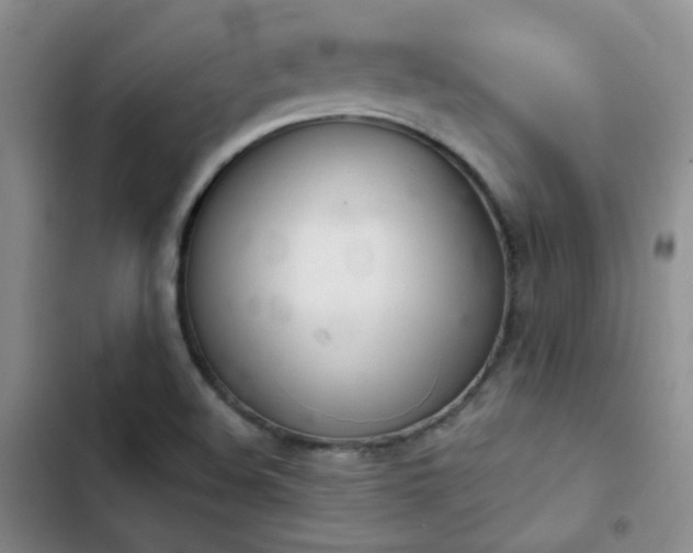 X0000103221508200808281355