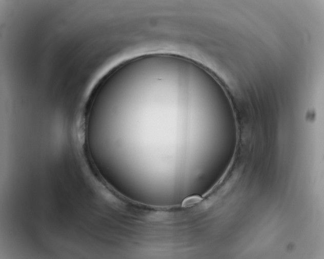 X0000103221510200808281355