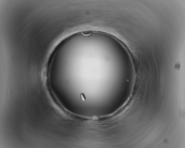 X0000103221511200808281355