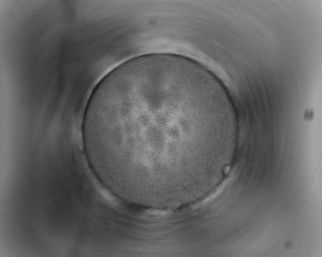 X0000103221513200808281355