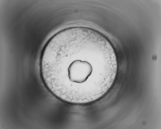 X0000103221514200808281355
