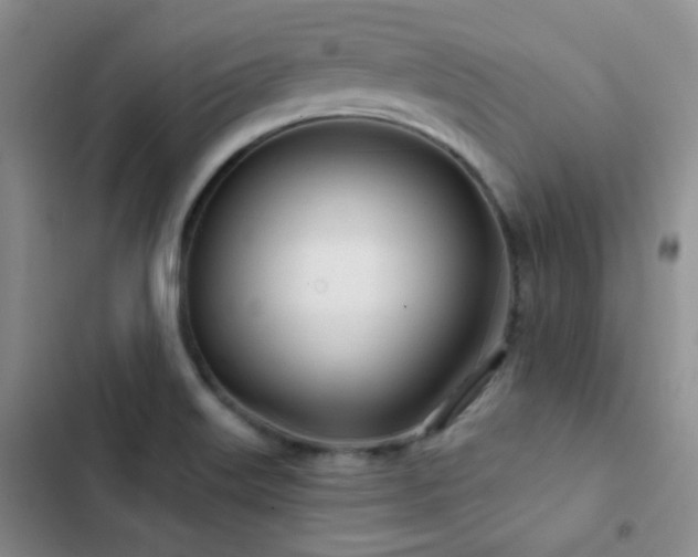 X0000103221515200808281355