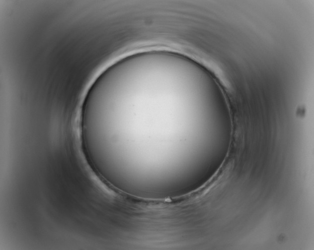X0000103221516200808281355