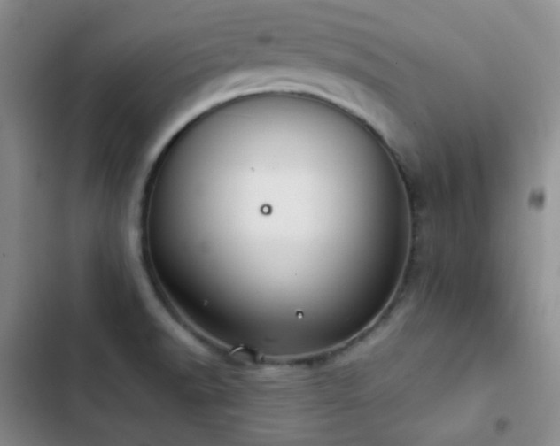 X0000103221518200808281355