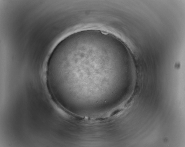 X0000103221519200808281355