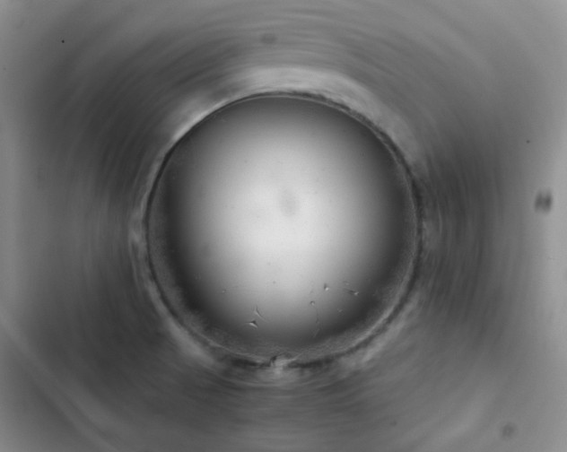 X0000103221521200808281355