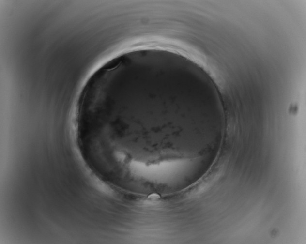 X0000103221522200808281355