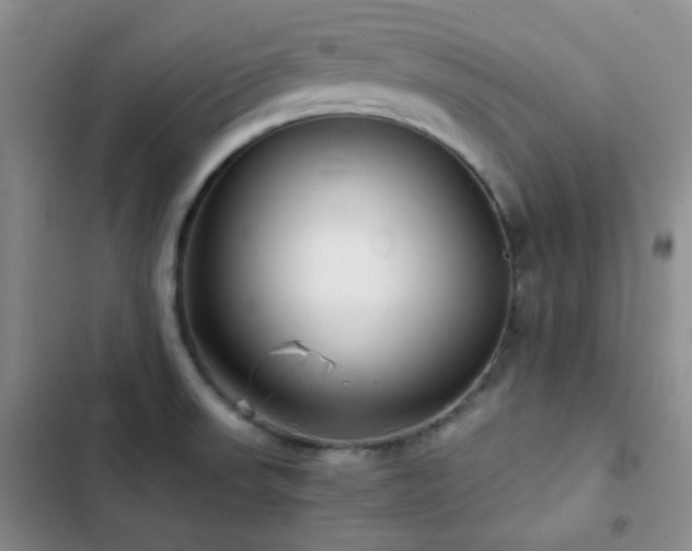 X0000103221523200808281355