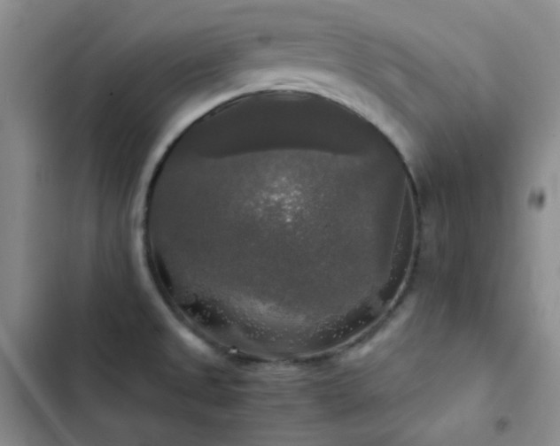 X0000103221525200808281355