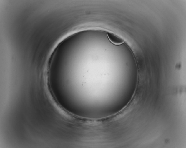 X0000103221526200808281355