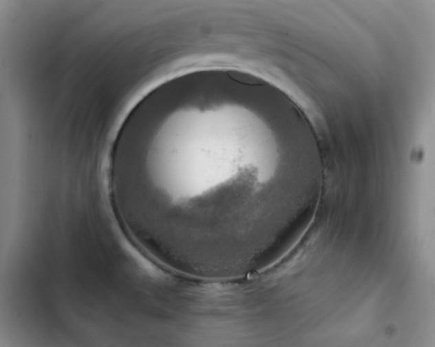 X0000103221527200808281355