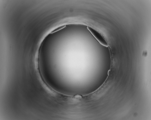 X0000103221528200808281355