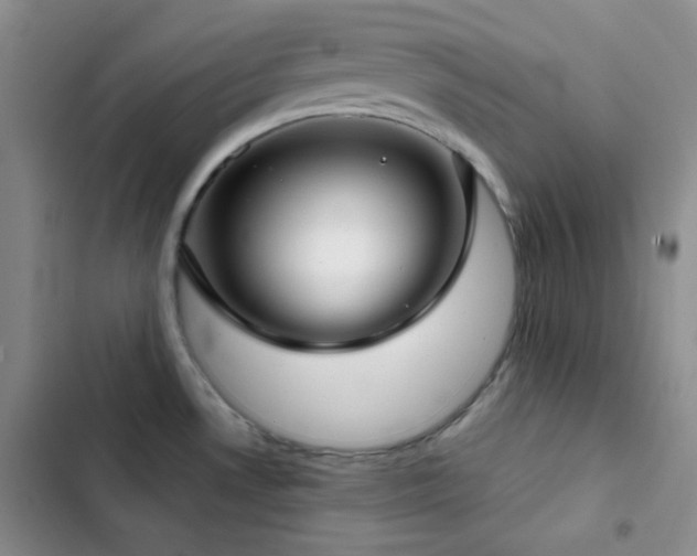 X0000103221530200808281355